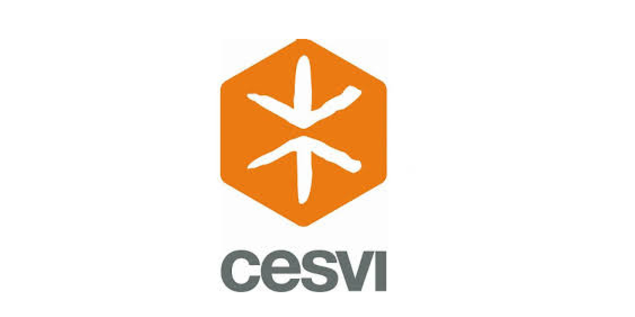 CESVI
